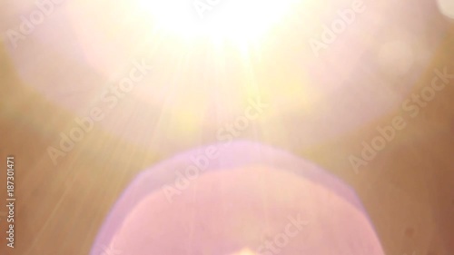 sunlight through the leaves of a tree