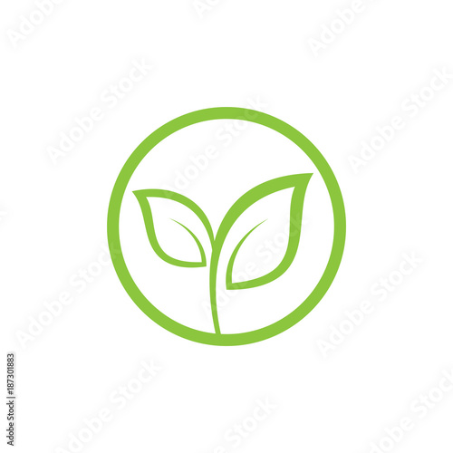 Leaf logo design