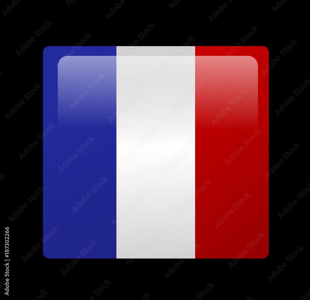 French flag vector French flag vector