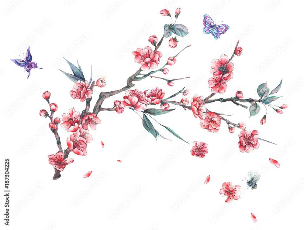 Watercolor spring pink blooming branches of cherry