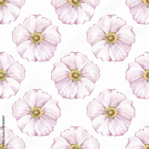 Floral seamless pattern. Watercolor background with white flowers