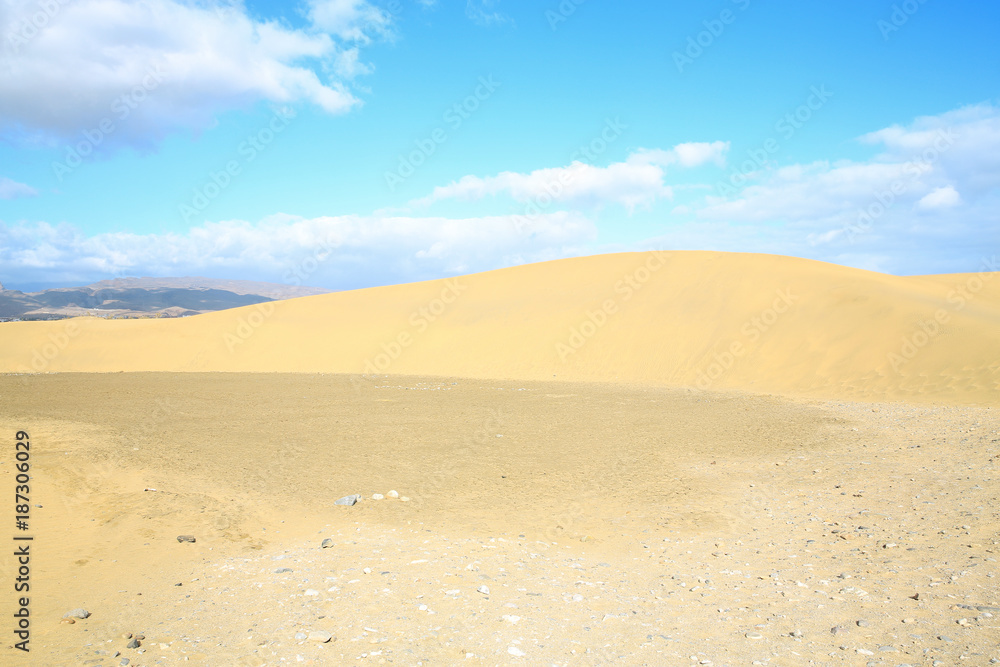 Sand dunes on the coast of Gran Canaria Island, Canary Islands, Spain