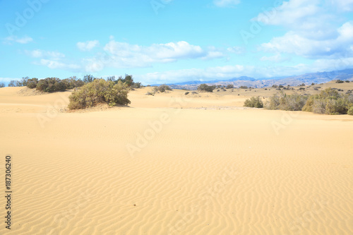 Maspalomas sand dunes on Gran Canaria Island, Canary Islands, Spain