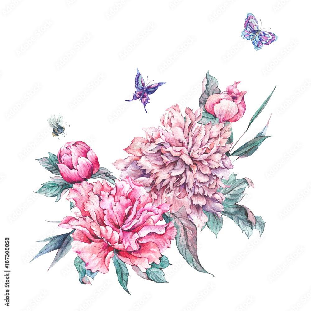 Watercolor pink flowers blooming peonies