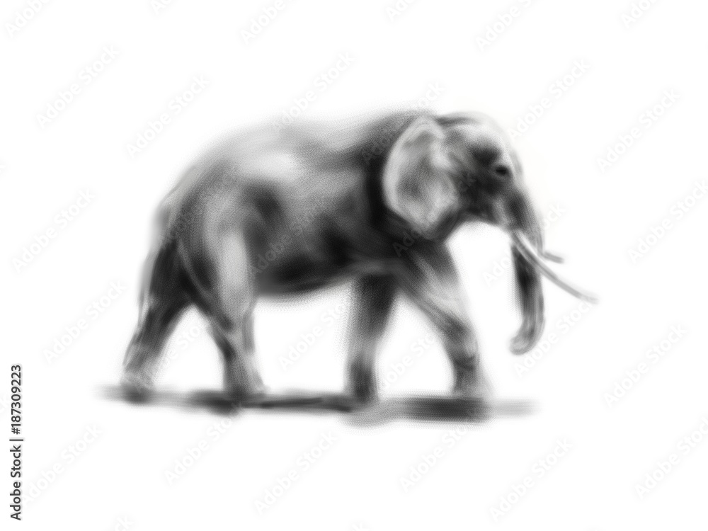 Hand drawing elephant. Digital illustration