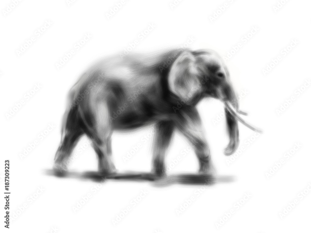 Hand drawing elephant. Digital illustration Hand drawing elephant. Digital illustration