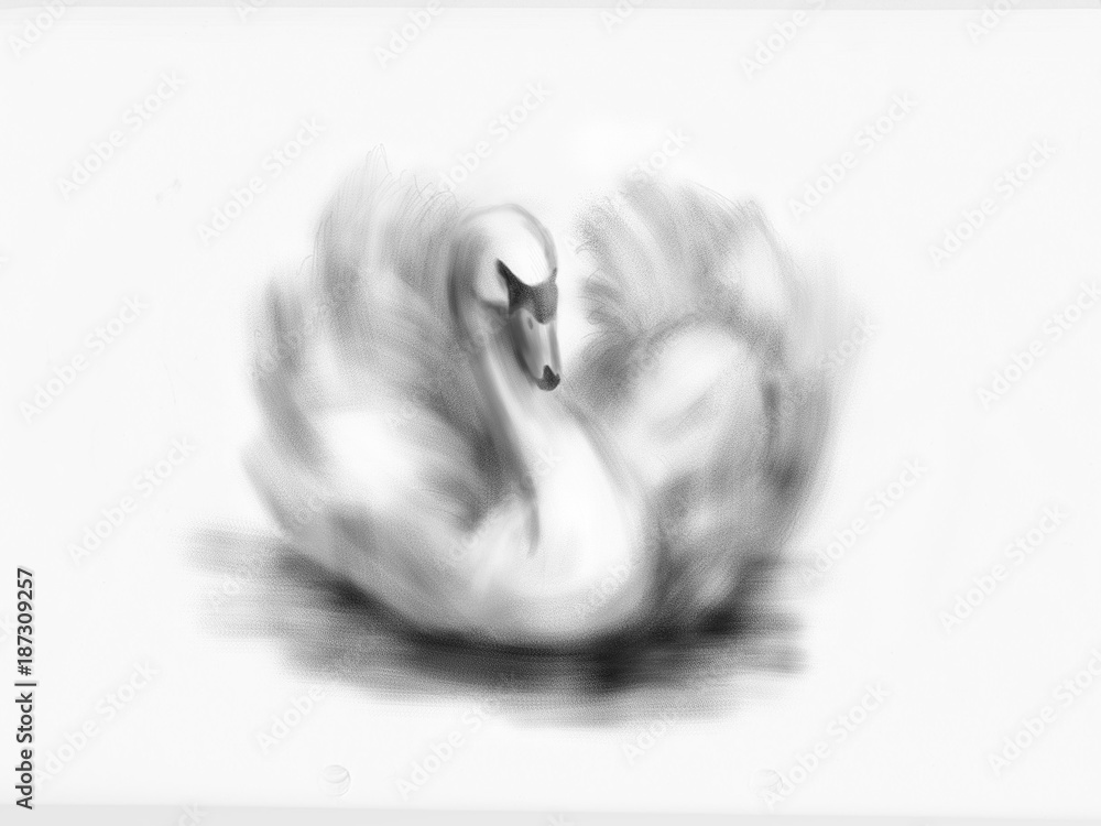 Obraz premium Hand drawing swan. Digital illustration
