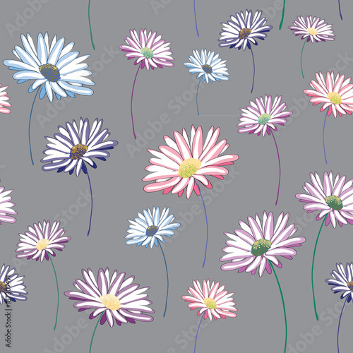 Daisies seamless pattern. Vector illustration on grey background