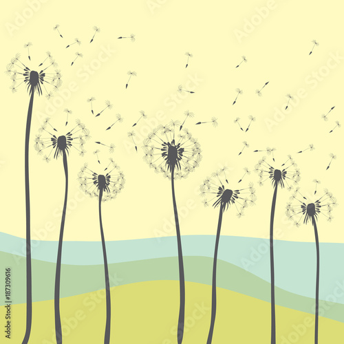 Dandelions blowing. Vector illustration of dandelions silhouettes on yellow background with nature in the distance