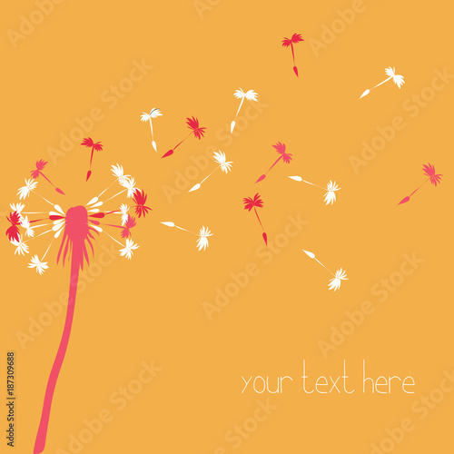 Fototapeta Naklejka Na Ścianę i Meble -  White and pink silhouette of dandelion blowing. Vcetor illustration on light orange background