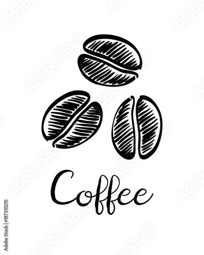 Coffee beans ink sketch.