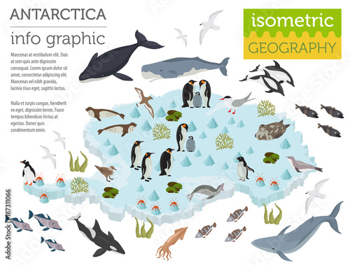 Isometric 3d Antarctica flora and fauna map elements. Animals, birds and sea life. Build your own geography infographics collection