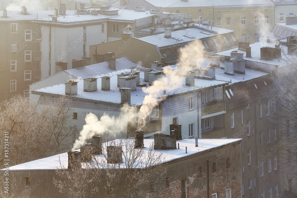 Plakat Dymiące kominy w Szczecinie o wschodzie słońca wskazują na spalanie drewna i węgla w starych domowych systemach grzewczych. Mieszkańcy wielu polskich miast narzekają na rosnące problemy zdrowotne spowodowane zanieczyszczeniem powietrza.