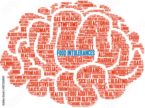Food Intolerances Word Cloud on a white background. 