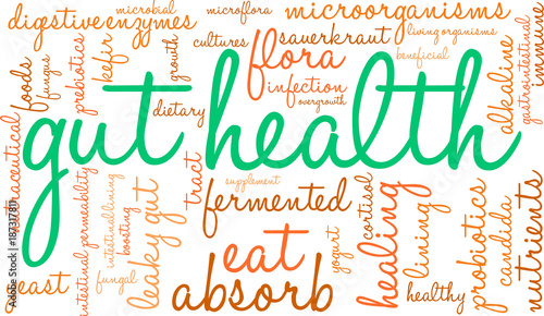 Gut Health Word Cloud on a white background. 