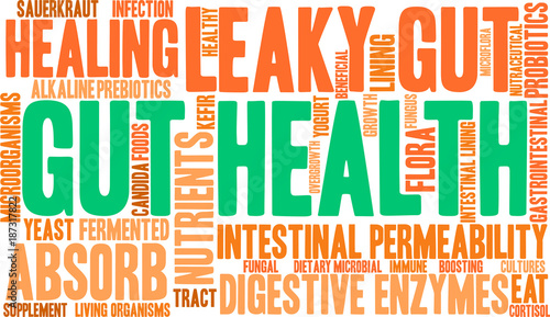Gut Health Word Cloud on a white background. 