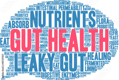 Gut Health Word Cloud on a white background. 