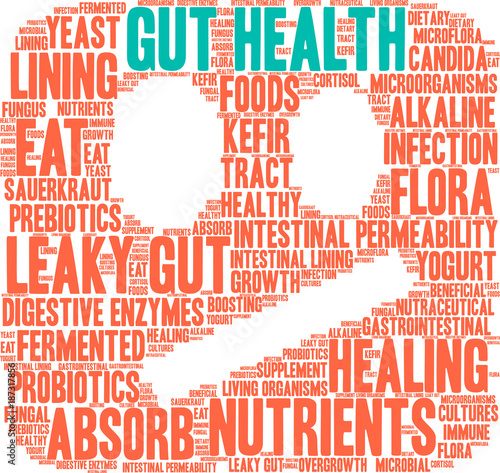 Gut Health Word Cloud on a white background. 