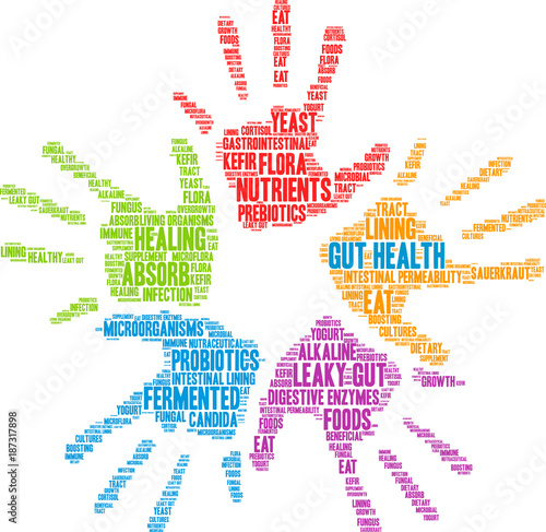 Gut Health Word Cloud on a white background. 
