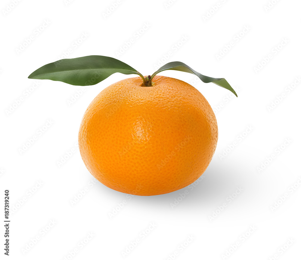 A whole mandarin with fresh leaves on a white background A whole mandarin with fresh leaves on a white background