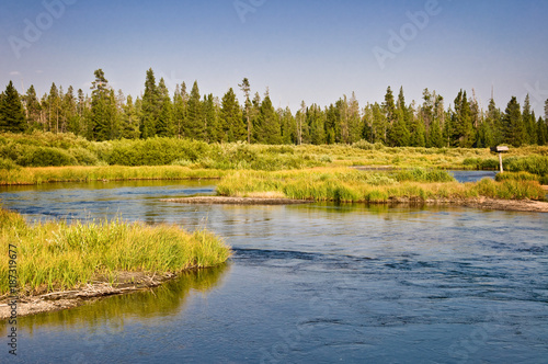 Madison river near West Yellowstone, Montana, USA