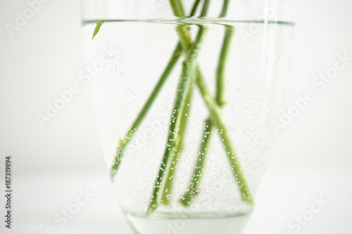 Stems of flowers in a glass vase