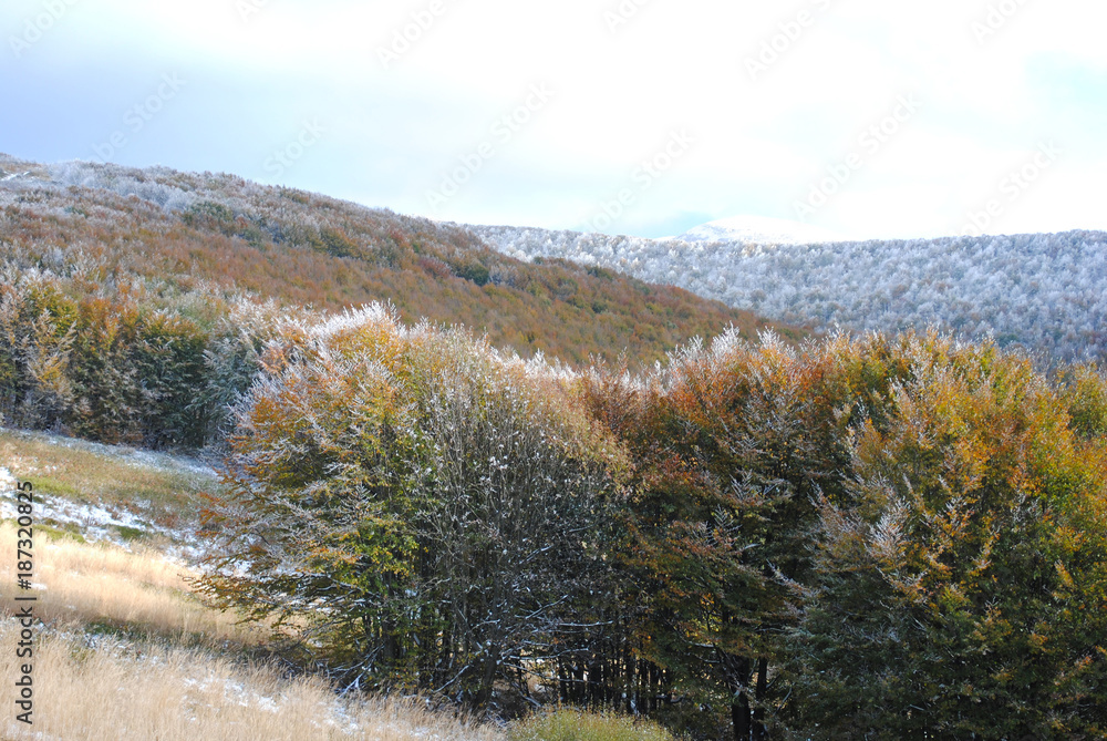 Beautiful landscape with first snow during autumn. Bieszczady National Park. Poland. Beautiful landscape with first snow during autumn. Bieszczady National Park. Poland.