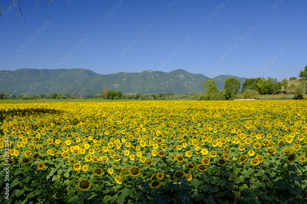 Country landscape between Rieti (Lazio) and Terni (Umbria)