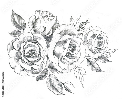Hand drawn line art roses in graphic style. Feminine tattoo sketch, spring floral blooming, black and white illustration.