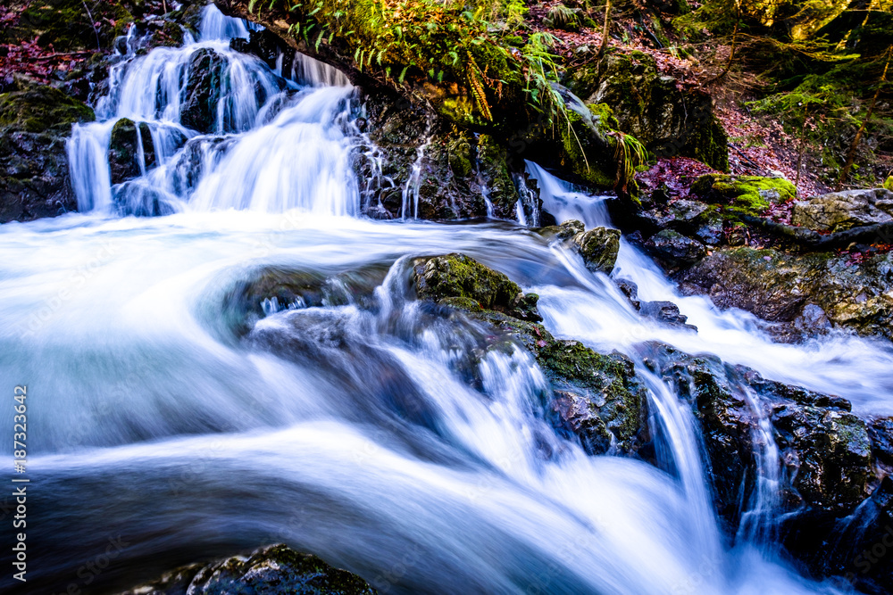 Fototapeta premium Waterfall