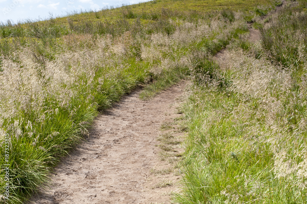 path in the Bieszczady
path in the Bieszczady