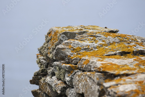 Beauty of Cornwall