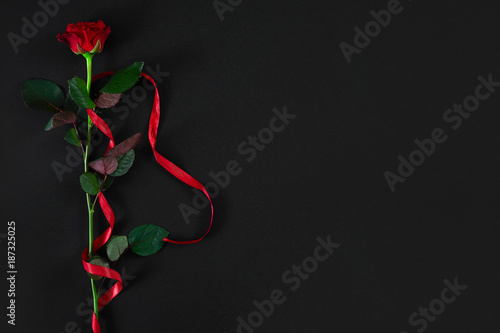 Fototapeta Naklejka Na Ścianę i Meble -  One dark red rose with red ribbon on black background. Romantic 
