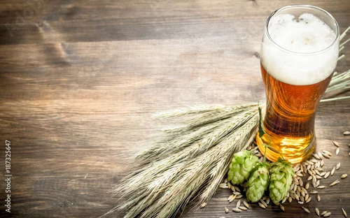 Obraz szklanka naturalnego piwa. Na drewnianym stole.