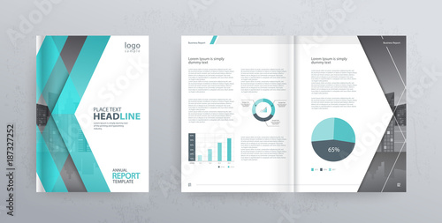 Design vector template layout for company profile ,annual report with cover, brochures, flyers, presentations, leaflet, magazine,book and  a4 size. 