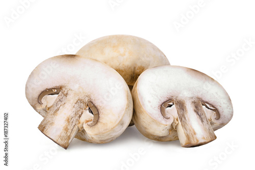 champignon mushroom isolated on white background