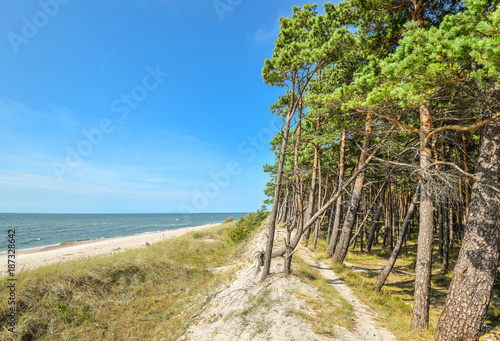 Fototapeta Naklejka Na Ścianę i Meble -  Beautiful summer view of the Baltic Sea, pebble sandy beach and pine forest, bright blue sky, Curonian Spit, Klaipeda, Lithuania. Stormy sea and a deserted beach without people. Landscape.