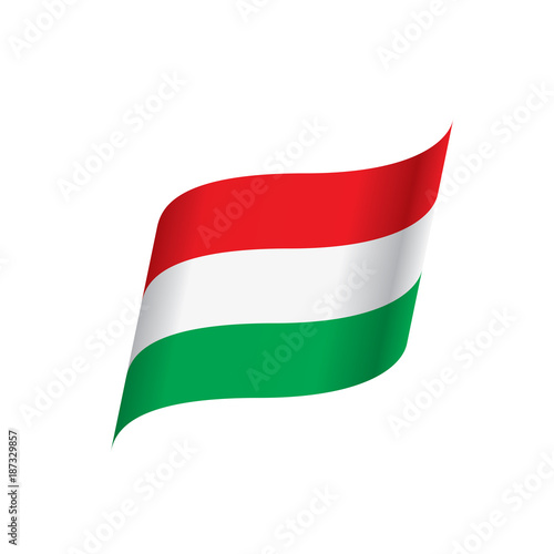Free Download Hungary flag, vector illustration - GFXLoad