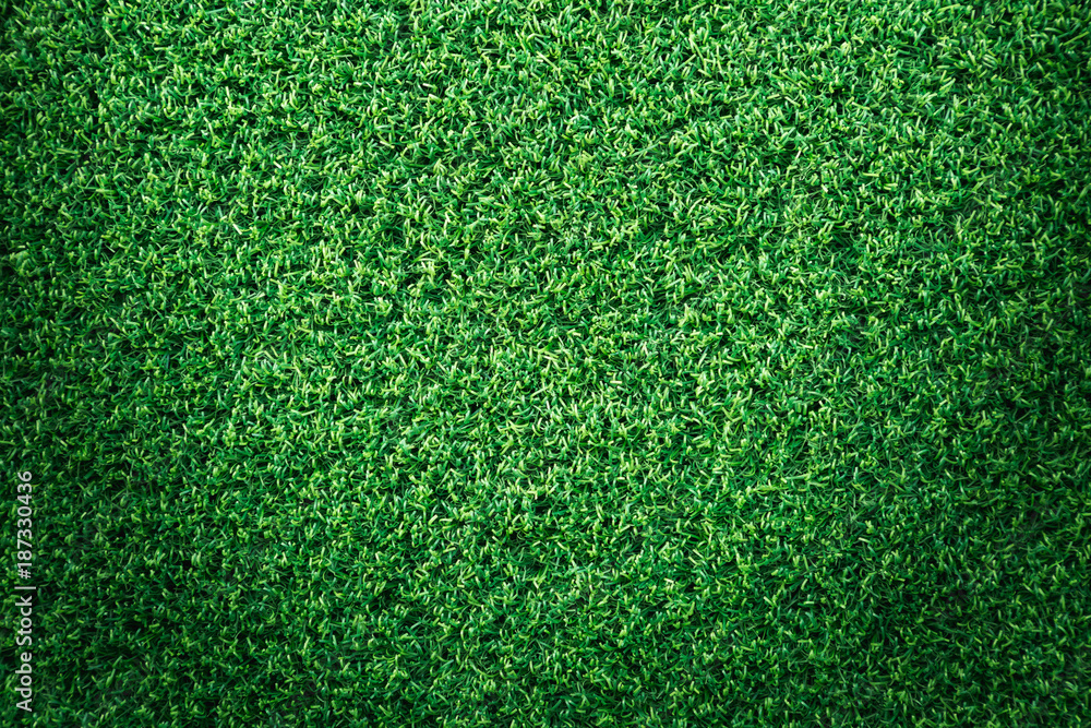 Obraz premium Green grass texture or green grass background for golf course. soccer field or sports background concept design. Artificial green grass.