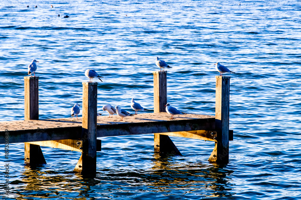 Fototapeta premium starnberg lake - bavaria