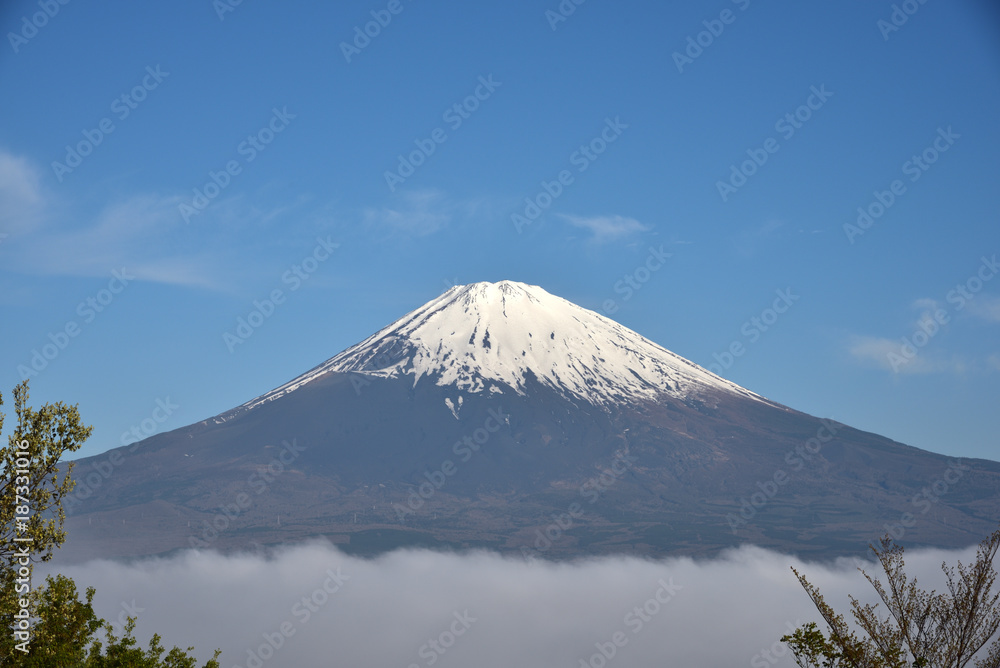 Mount Fuji with blue sky