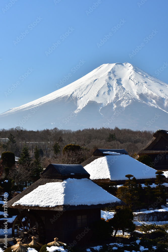 Mount Fuji in winter