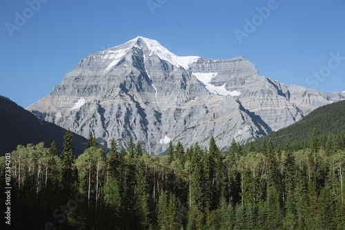 View of Mount Robson in British Columbia. A perfectly clear day shows the snow on top of the mountain. There are lots of tree leading up to the base of the mountain.