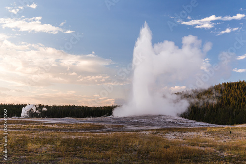Old Faithful eruption at sunset. Another geyser explodes in the background while Old Faithful erupts as the main subject. The steamy explosion was captured in Yellowstone National Park.