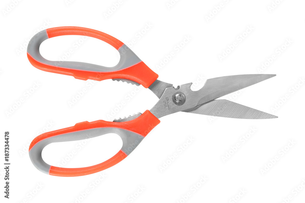 Kitchen shears, stainless steel. On a white background Kitchen shears, stainless steel. On a white background
