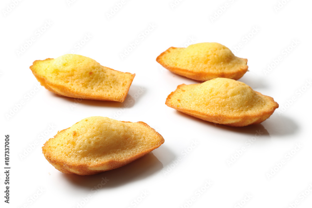 madeleine sur fond blanc madeleine sur fond blanc