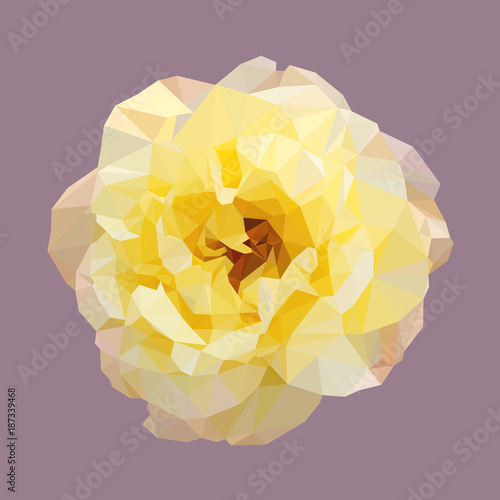 polygonal yellow rose, isolated polygon vector flower