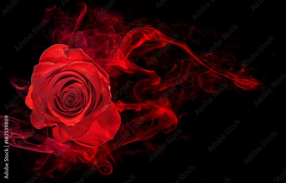 Fototapeta Róża owinięte w dym czerwony wir na czarnym tle