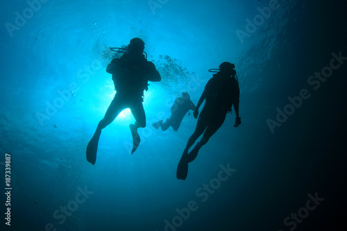 Scuba dive coral reef underwater © Richard Carey