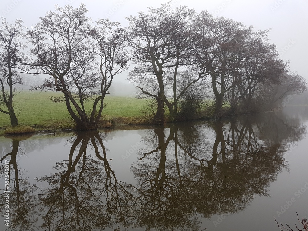 Obraz premium Misty Tree Reflection